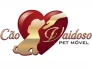 Logo de Cão Vaidoso Taxi Dog e Pet Móvel - Banho e Tosa